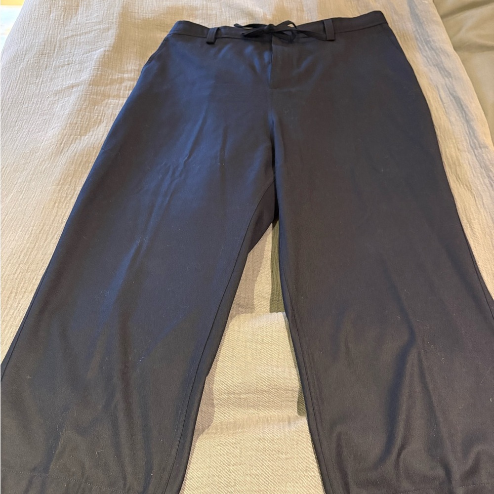 Sofie D'Hoore Navy Wool Ankle Pants